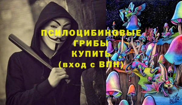дмт Абинск