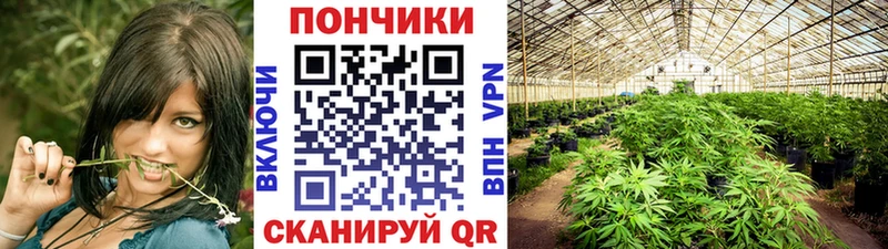 закладка  Покачи  Каннабис MAZAR 